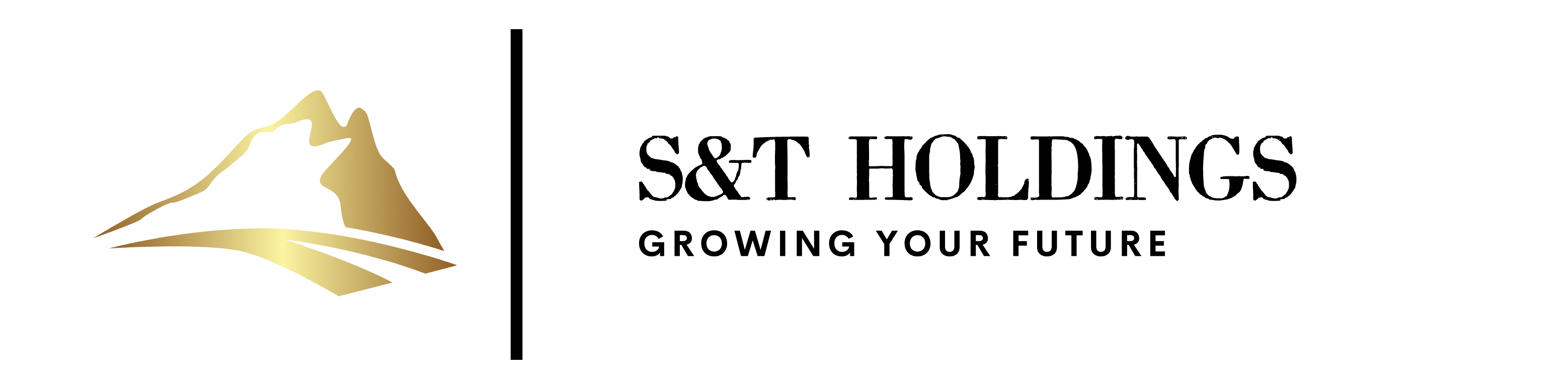 S&T Holdings Logo
